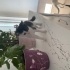 Cok tatli yavru kedi evde buyutuluyor fotoğraf