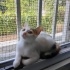 MERHABA BEN PELİN! AİLEM OLUR MUSUNUZ? fotoğraf