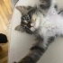 Cana yakın ve oyuncu güzel bakışlı fotoğraf