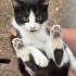 Pofuduk Tatlim❤️ sizi ariyor fotoğraf