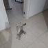 Yeni evini arıyor fotoğraf