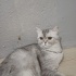 Ailem olur musun fotoğraf