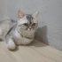Ailem olur musun fotoğraf