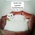 Mia yuva arıyor fotoğraf