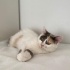 Lütfen acil yuva kıza fotoğraf