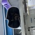 VETERİNERDE TEDAVİ ALTINDA BULUNAN DİŞİ YAVRU TEKİR KEDİ İÇİN ACİL YUVA ARANIYOR fotoğraf