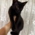 Küçük mutluluk, eve uğur getirir fotoğraf