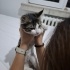 Sokaktan kurtarma yaralı yavru kedi fotoğraf
