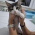 Sokaktan kurtarma yaralı yavru kedi fotoğraf