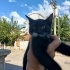 Çocuklar annesinden ayırmış fotoğraf