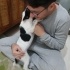 2 Aylık Pointer Terrier Melezi Yavruları Ücretsiz Sahipendirme fotoğraf