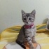 Çilegi arabalarin arasindan aldik😔 fotoğraf