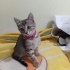 Çilegi arabalarin arasindan aldik😔 fotoğraf
