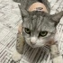 Lola acil yuva arıyor fotoğraf