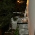Acil yuva aranıyor fotoğraf