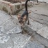 Kış gelmeden yuva arıyoruz fotoğraf