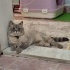 Herşeyi Tam✅️ Deneyimli Sahip Aranıyor fotoğraf