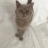 Adım Remzi yuva istiyorum fotoğraf