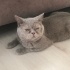 Adım Remzi yuva istiyorum fotoğraf