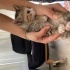 Acil Sahiplendirilecek 5 Yavru Kedi fotoğraf