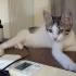 Pamuk kızımıza Acil Yuva fotoğraf