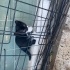 sokakta yaşayan bu cana yuva olmak ister misiniz
