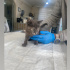 DÜNYA TATLISI YAVRU KEDİLERE YUVA fotoğraf