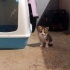 Erkek 1 aylık kapıma bırakmışlar fotoğraf
