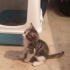 Erkek 1 aylık kapıma bırakmışlar fotoğraf