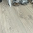 Yumoş kokulu yavru kedi fotoğraf