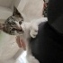 Minik çocuğa yuva arıyorum fotoğraf