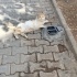 Sokakta kaldım arkadaşın olabilir miyim? fotoğraf