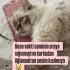 Terk edildi sokağa fotoğraf