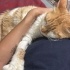 Engelli, 3 patili fotoğraf