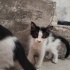 2 aylik bebeklerimize yuva fotoğraf