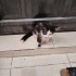 2 aylik bebeklerimize yuva fotoğraf