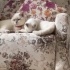 Romeo ve Juliet yuva arıyor fotoğraf