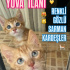 Behlül Bey’e Yuva fotoğraf