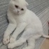 Lokuma sevgi dolu yuva fotoğraf
