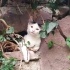 Bizimkisi Bir Aşk Hikâyesi, Siyah-beyaz film gibi biraz... fotoğraf