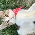 Oyuncu 3 aylık bebek Lokum fotoğraf