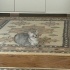 ben bulut 3 aylık ponçiğim fotoğraf