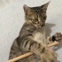 O SİZİ SEÇTİ :) fotoğraf