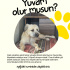 Çakılı sokakta bulduk fotoğraf
