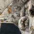 Güzel bebeğe yuva :) fotoğraf