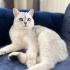 3 yaşında bebeklikten beri bizde iyi bir aile arıyoruz fotoğraf