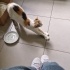 Çok tatlı kyk kedisi fotoğraf