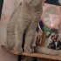 Ücretsiz sahiplenme British kedi acil yuva fotoğraf
