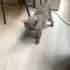 Sokakta bulundu fotoğraf