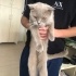 Sokakta bulundu fotoğraf